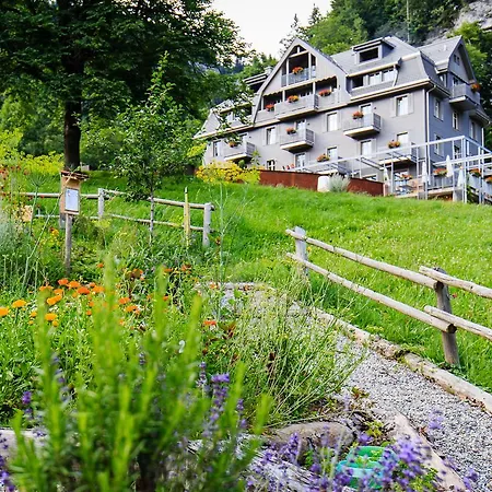 Wetterhorn 4* هاسليبرغ